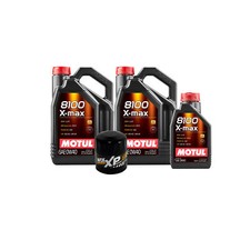 11L Motul 8100 X-MAX 0W40 WIX XP Filter Motor Oil Change Kit API SN