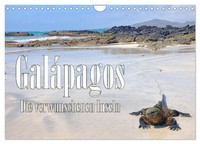 Calendar 2027 · US Version · GaláPagos - The Enchanted Islands (Wall Calendar 20