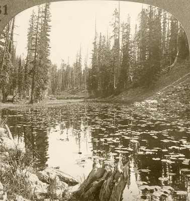 Keystone Stereoview Isa Lake, Yellowstone NP of Scenic America Set #161 DN150 T2