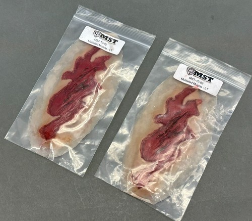 MST Moulage Sciences - Bleeding Wounds Skills Trainer kit - Picture 10 of 17