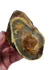 Dino Jasper Natural Rough 216.1 grams