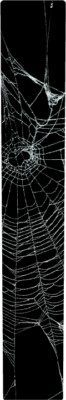 Spider Web Dash Insert. 08-22 Road Glide, Electra, & Ultra Classic USA Made