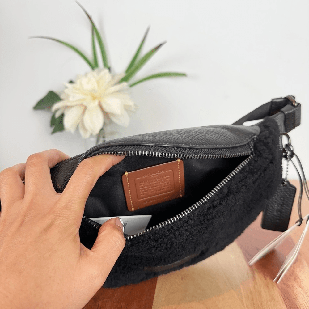NWT Coach Warren Mini Belt Bag In Signature Canvas | eBay