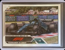 Fernando Alonso Chrome 2023 #35