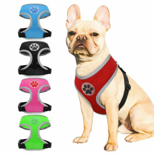 Imbragature neri per cani