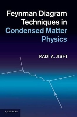 Feynman Diagram Techniques in Condensed Matter Physics by Rad... - 9781107025172