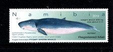 Namibia 1383 MNH Pygmy Sperm Whale   Nice Price