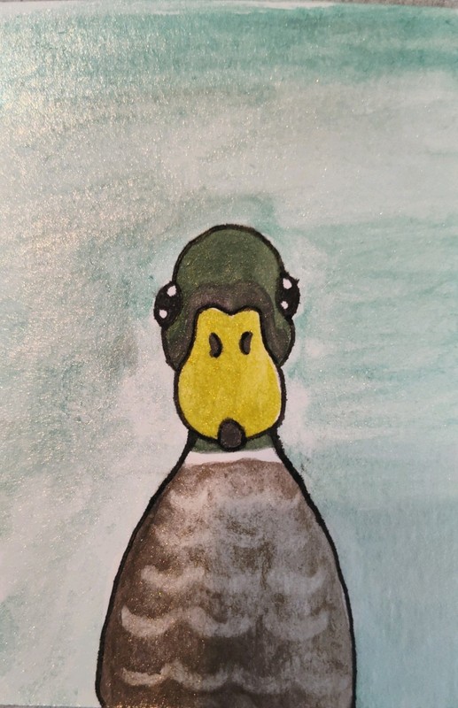 ACEO Original Watercolor Painting 2.5x3.5" By Skye- Mallard Duck Of Concern