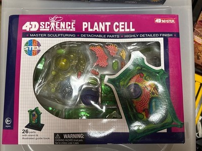4D-Science Plant Cell Anatomy Model
