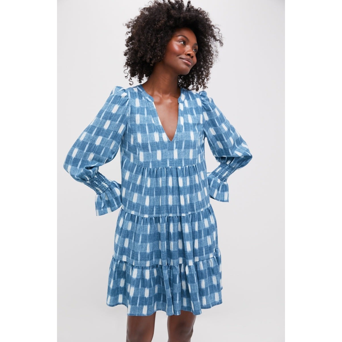 POMANDER PLACE Blue Ikat Kenzo Dress Size M NWT Retail $128 Tuckernuck