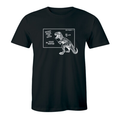 Teaching Is A Walk in The Park Gift Tee For Teacher Dinosaur Funny MeMe T-Shirt