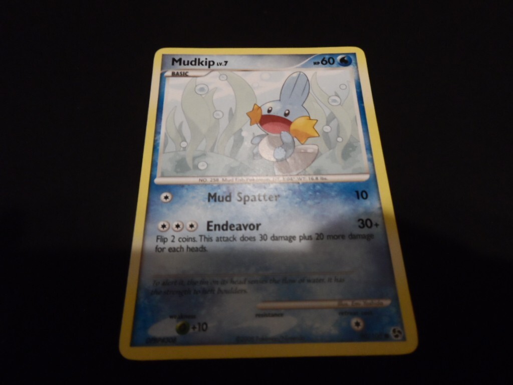 Mudkip 80/106 Pokémon Card 2008 Pokemon NM Near Mint