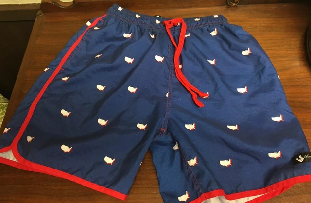 rowdy gentleman swim trunks