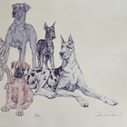 Photo 5/16