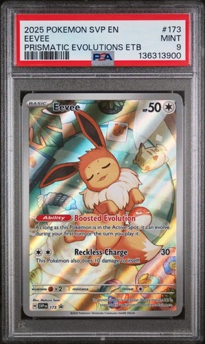 2025 POKEMON SVP EN-SV BLACK STAR PROMO #173 EEVEE PSA 9