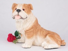 Large 219 Cubic Ins Brown  White Bulldog Resin Urn for Cremation Ashes