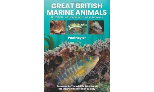 Great British Marine Animals by Paul Naylor (Paperback Book) - Image 6