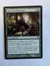 Quest for Renewal Worldwake Regular