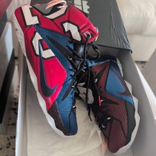 Nike LeBron 12 SE What The LeBron for Sale | Authenticity