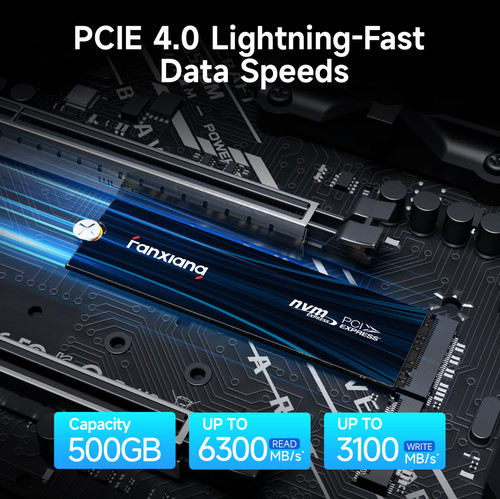 Fanxiang SSD Interno M.2 NVMe 1TB 2TB 4TB PCIe 4.0 per PS5 PC Gaming 7300 MB/s prezzo ebay