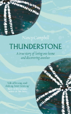 Thunderstone: A True Story of Losing One Home And Discovering Another: A True St
