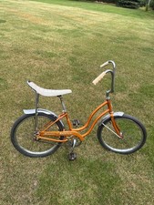 eBay Auction Picture