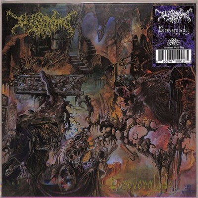 Worm / FOREVERGLADE (BLACK VINYL) (LP) / 20 Buck Spin / SPIN139LP / LP