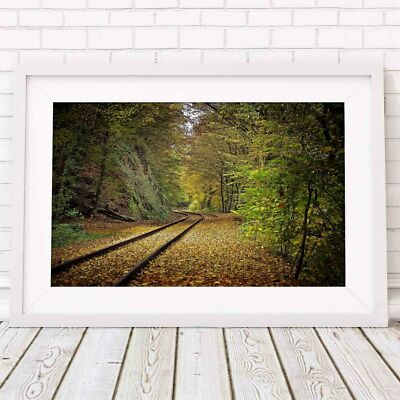 501213 AUTUMN TREES - Tracks   **** 16x12 WALL PRINT POSTER