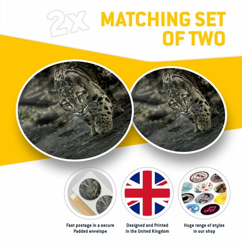 2 x Vinyl Stickers 20cm - Clouded Leopard Wild Cat Cool Gift #3200 - Afbeelding 2 van 9