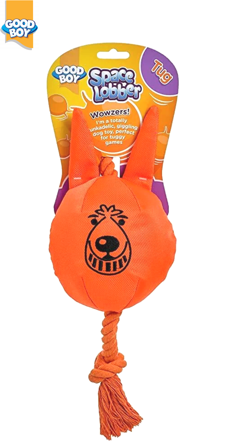 GOOD BOY SPACE LOBBER DOG PUPPY TUG PLAY TOY CANVAS ROPE TUG GAMES 27CM