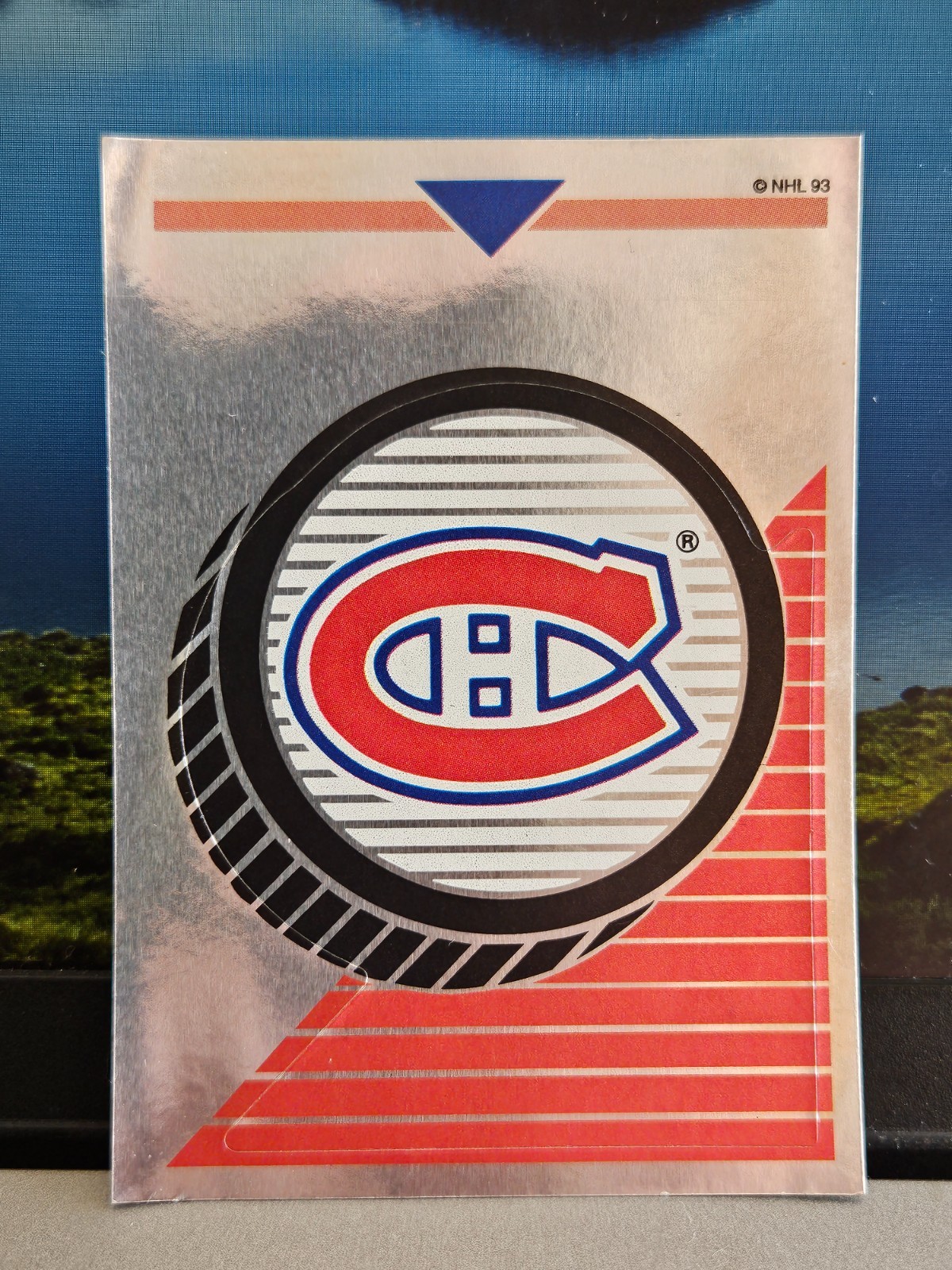1993-94 Panini hockey stickers ** PICK YOUR stickers From The LIST