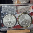 2021 $1 Type 1 and Type 2 Silver Eagle Set, PCGS MS70, First Strike, Flag Frame