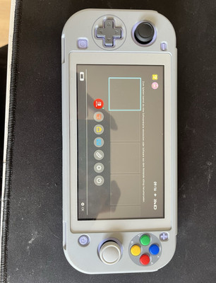 Modded Switch Lite