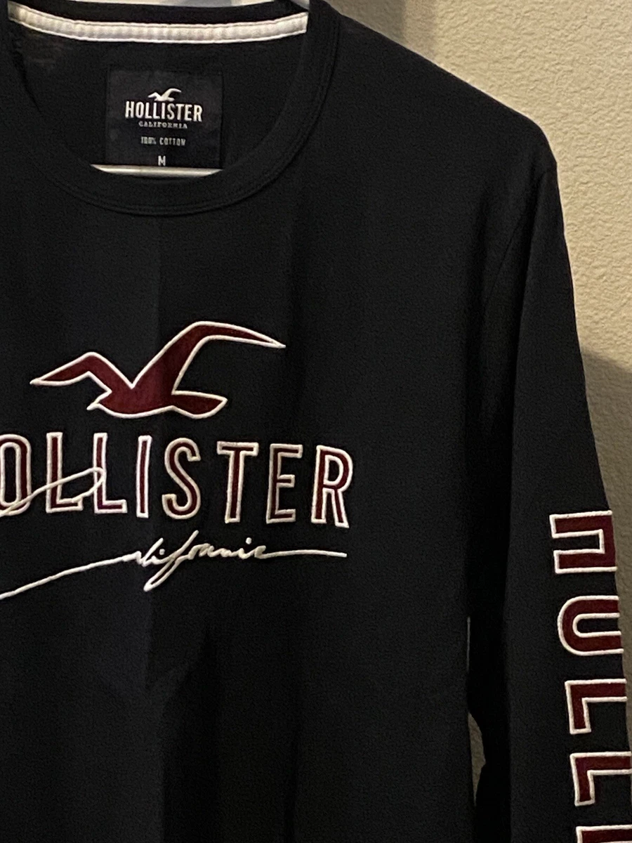 Buy Hollister Men's Long T-Shirt, Long Sleeve T-Shirt, Logo Applique,  white, L at