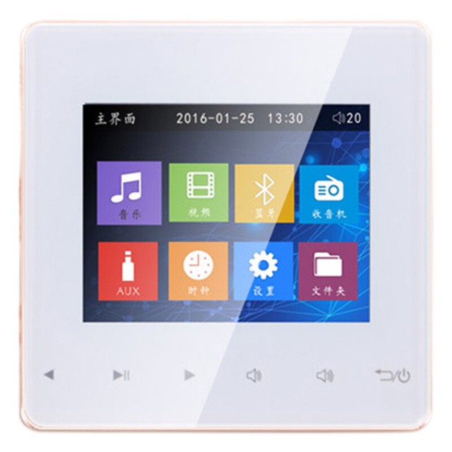 ceiling audio system