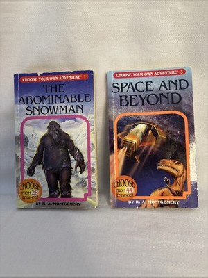 Book Lot of 2 ~ Choose Your Own Adventure ~ #1 and #3 ~R. A. Montgomery ~ Bundle