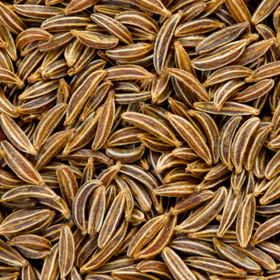 Caraway Seeds | Heirloom | Free Shipping | Herb Seeds | Seed Store ...