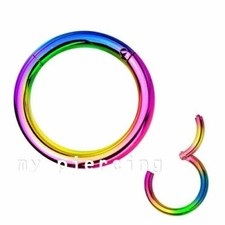 Hinged Seamless Segment Ring Hoop Earring Cartilage Labret Septum 16G 1/4"- 5/8"