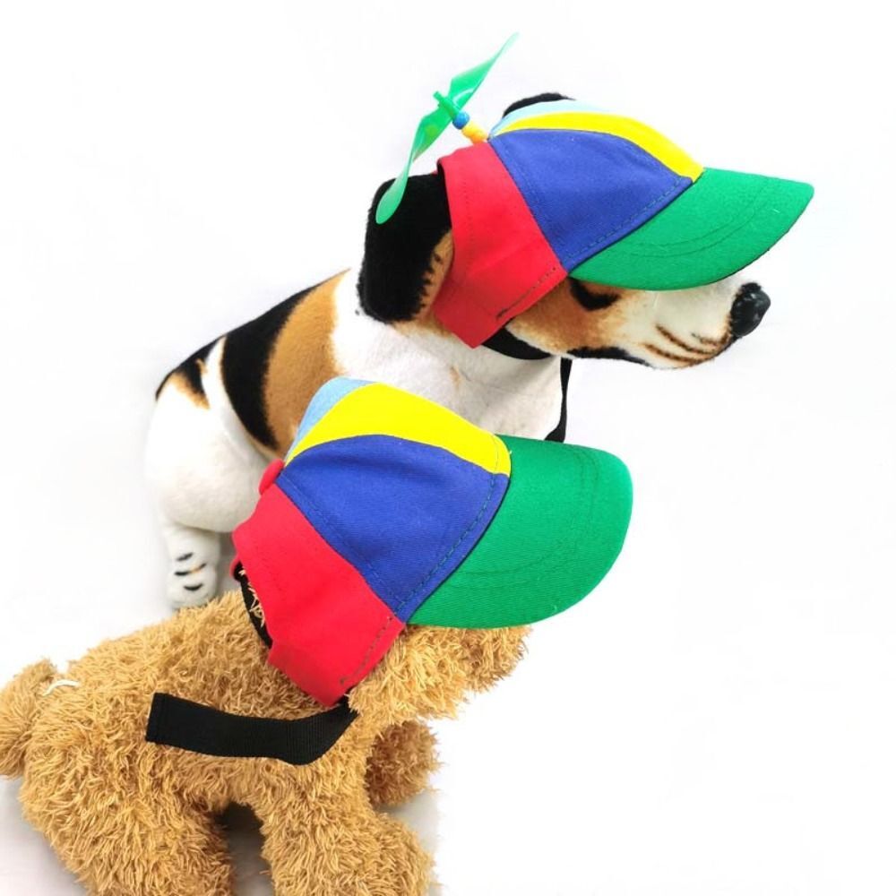 Colorful Dog Propeller Hat Rainbow Dog Bucket Hat Small Medium
