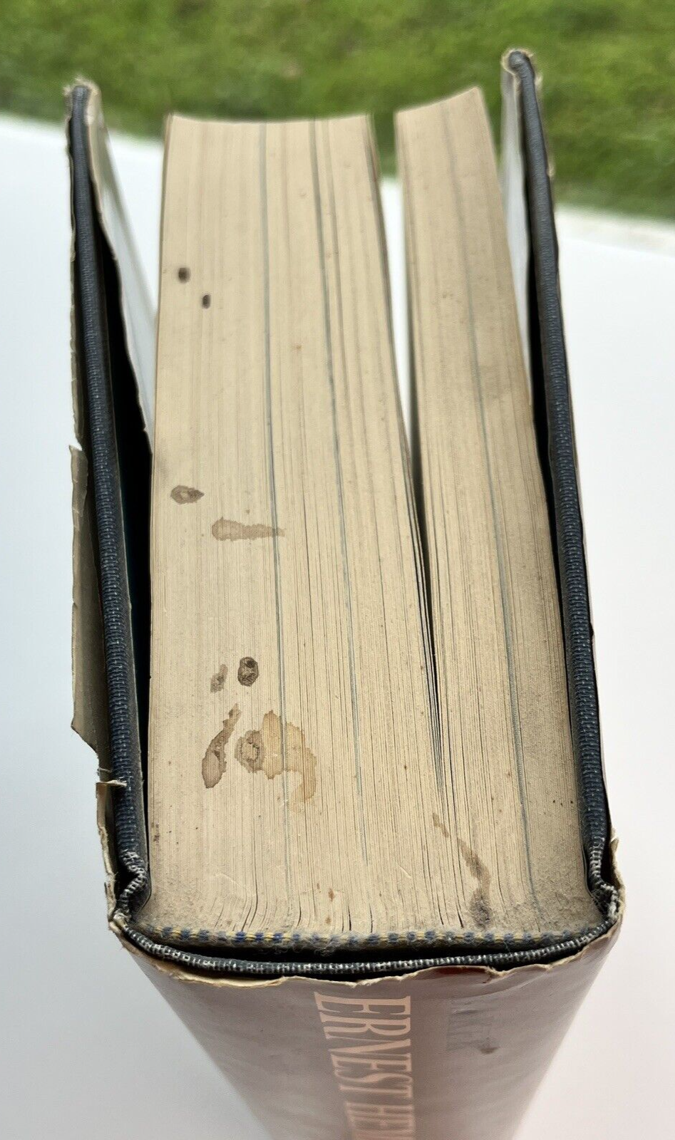Picture 6 of 24