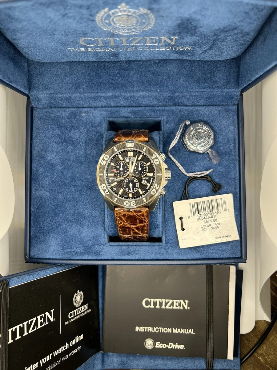 Citizen eco drive watch signature collection cheap