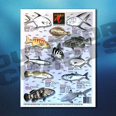 Backcountry Flats Fish Identification Chart #10 (Salt Brackish Water  and Man