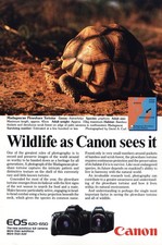 1988 Canon Camera: Madagascan Plowshore Tortoise Vintage Print Ad
