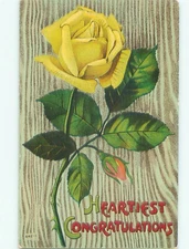 Divided-Back BEAUTIFUL FLOWERS SCENE Great Postcard : : make an offer AA4119