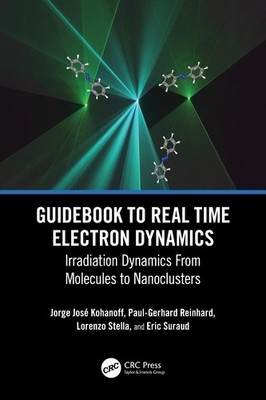 Guidebook to Real Time Electron Dynamics: Irradiation Dynamics From Molecules to