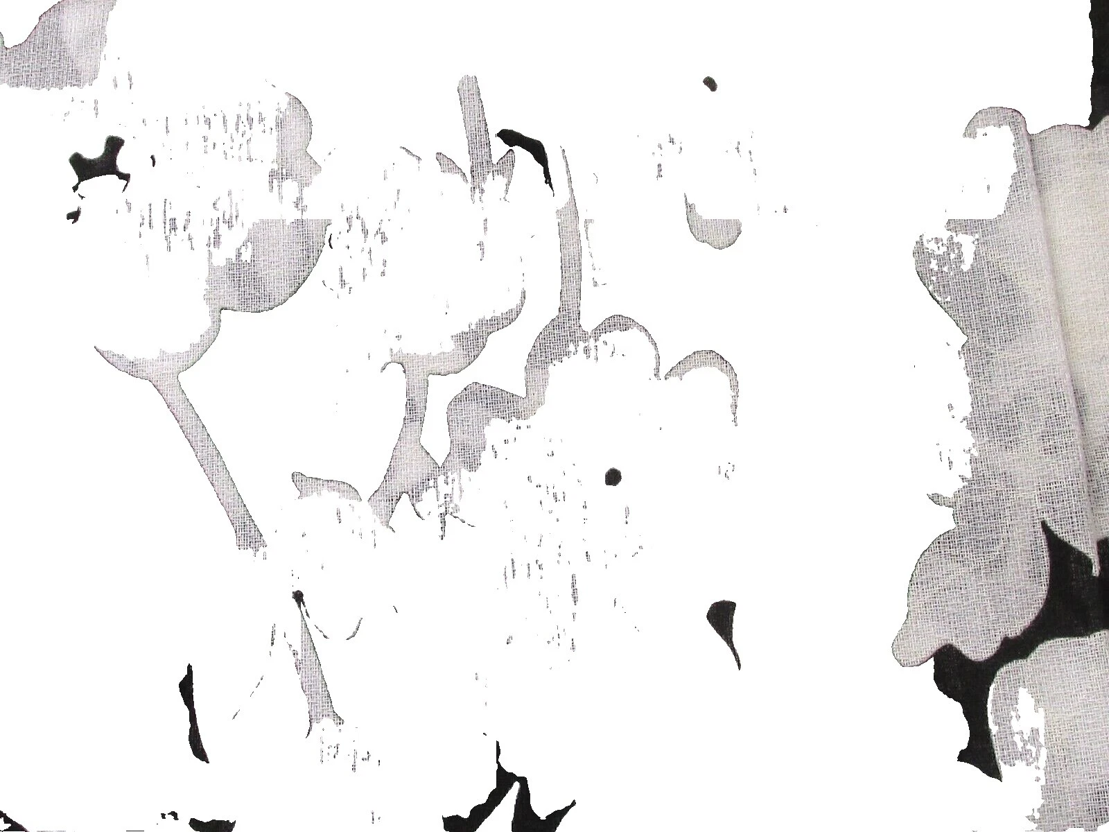 Roupas Transparente Preto-Roupas para o Dia a Dia Tecidos para artesanato