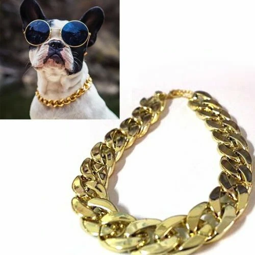 Collari in oro per cani