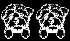 Maltese Cute Dog 5" White Vinyl Decals Car Truck Windows Laptop Tablet Mailbox