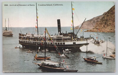 Arrival of Steamer Avalon Santa Catalina Island California Postcard 1910s