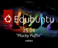 Edubuntu 25.04 Plucky Puffin USB Flash Drive